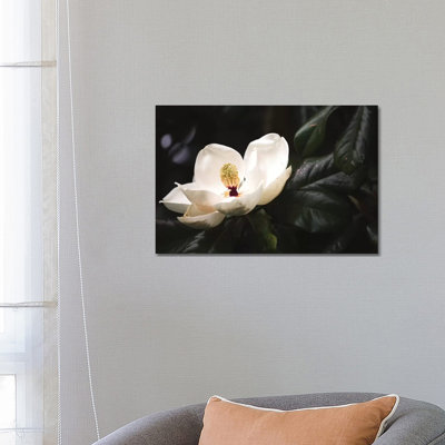 Magnolia I 1 Piece Wrapped Canvas Wall Art