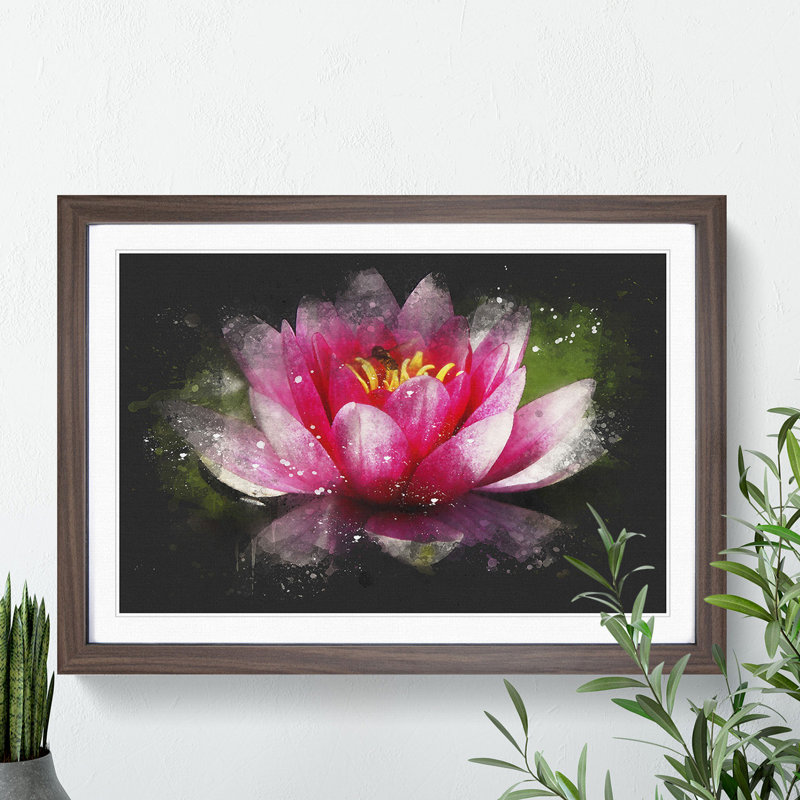 Pink Water Lily Flower Vol.3 - Picture Frame Graphic Art, 48cm H x 65cm W x 2cm D, Walnut Framed