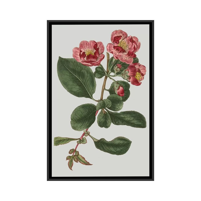 «Floral Gems I» par Vision Studio, reproduction d'impression sur toile tendue, H 26 po x l 18 po x P 1,5 po, Pas de tapis