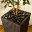 Adcock Faux Olive Tree with UV Protection, 2 Natural Tree Trunks, Large Decorative Potted Olive Tree-89410993-89410998