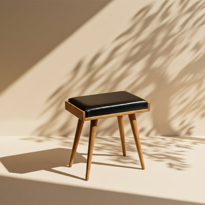 Jabed Ottoman Stool for Living Room Piano Bench Functional Footstool Bench by George Oliver