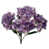 Purple is out of stock