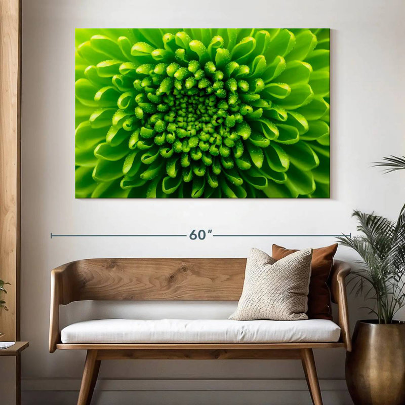 Chrysanthème vert, H 34 po x l 51 po