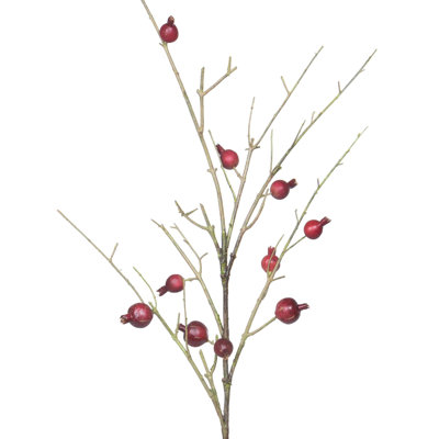Pomegranate Branch 48"