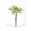 Tige de plante grasse