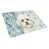 Bichon frisé blanc et crème