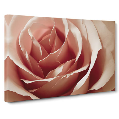 Royal Rose Flower - Wrapped Canvas Print
