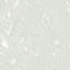 Burlwood - Wood Wallpaper-591353427-754853000