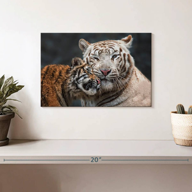 Tigre blanc et chaton Brampt, H 8 po x l 12 po