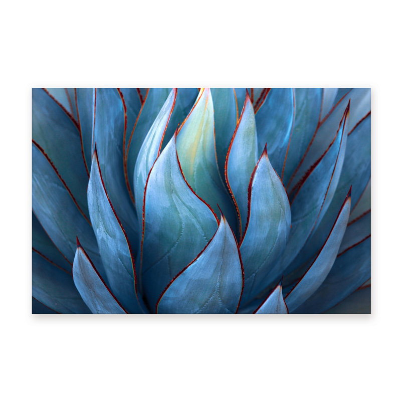 Nature Inspired Blue Agave Abstract by - Picture Frame Graphic Art on Paper, 32" H x 48" W x 1.5" D, Wrapped Canvas