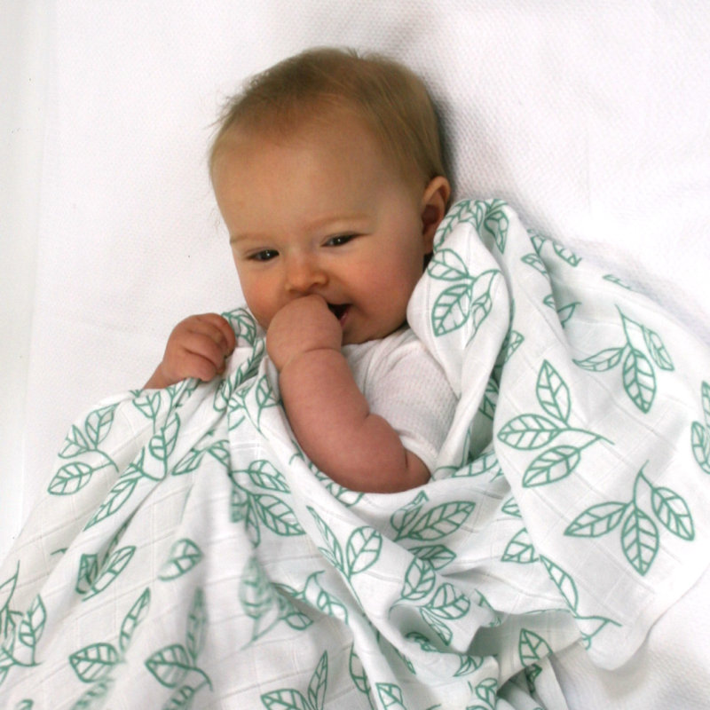 Nate MuslinZ Large Muslin Swaddle 120cms Bamboo-Organic Cotton Mix, Green