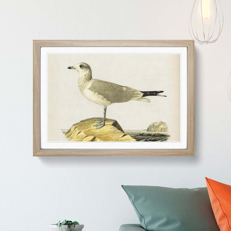 Common Gull by Von Wright - Picture Frame Painting Print, 36cm H x 48cm W x 2cm D, Oak Framed