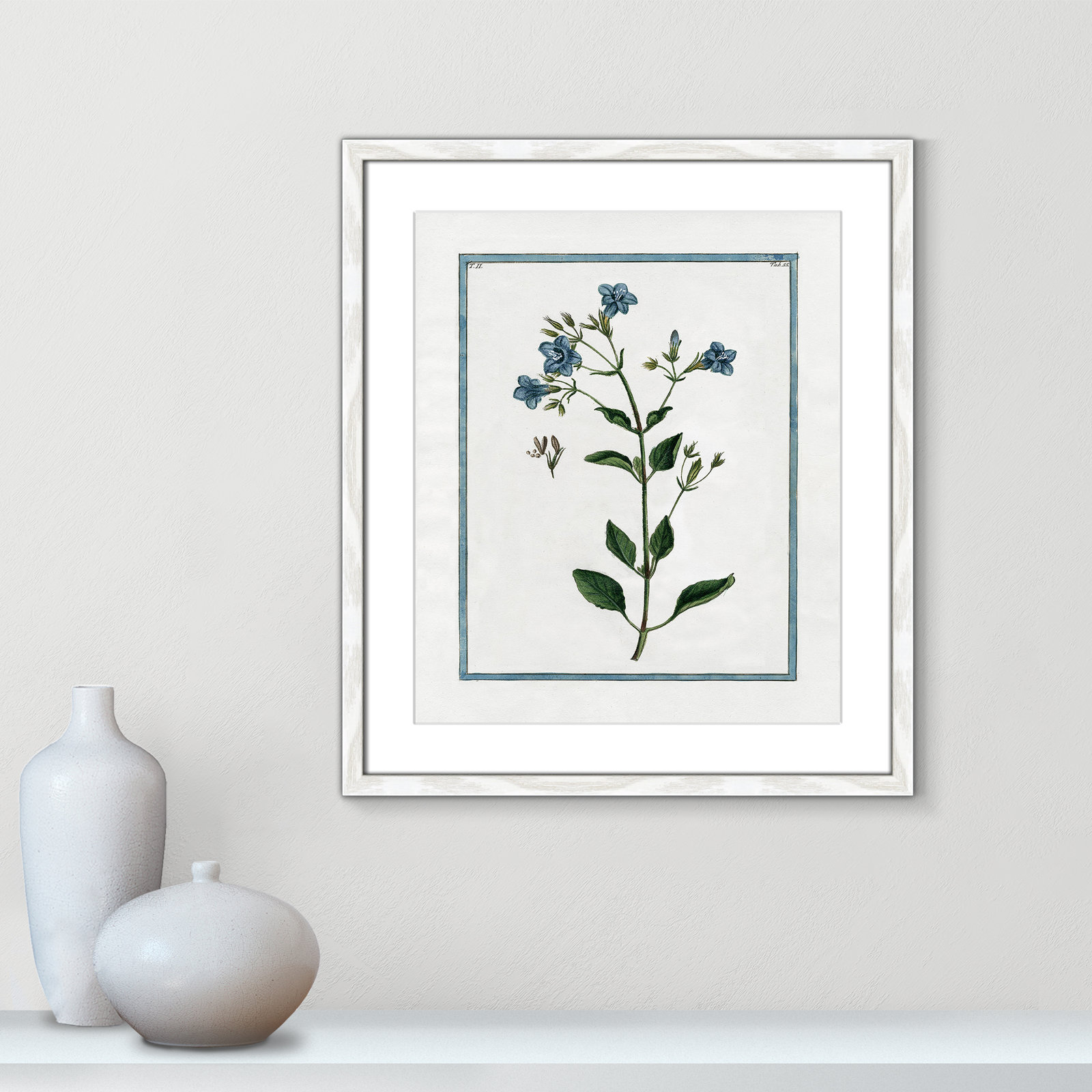 Colombe "Shabby Elegance Botanical II" Print, 16" W x 19" H, White Framed