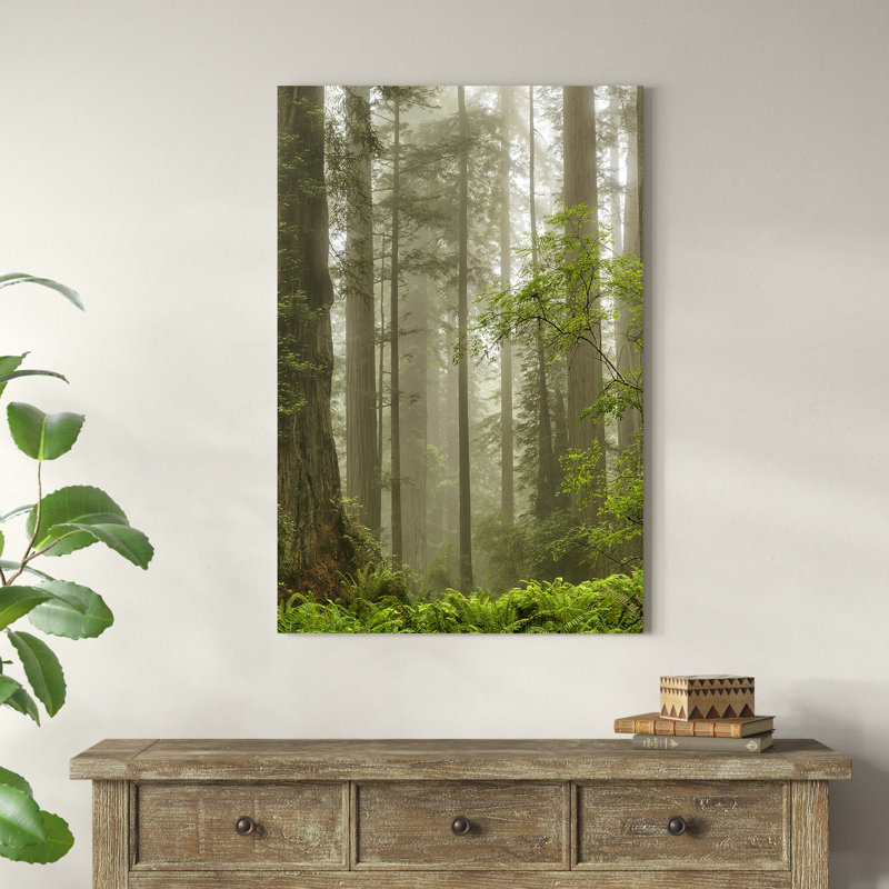 «Summer Forest II» par Dianne Poinski - Photographie sur toile tendue, H 48 po x l 32 po, Non, Toile tendue