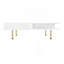 Exquisite High Gloss Coffee Table-55338533