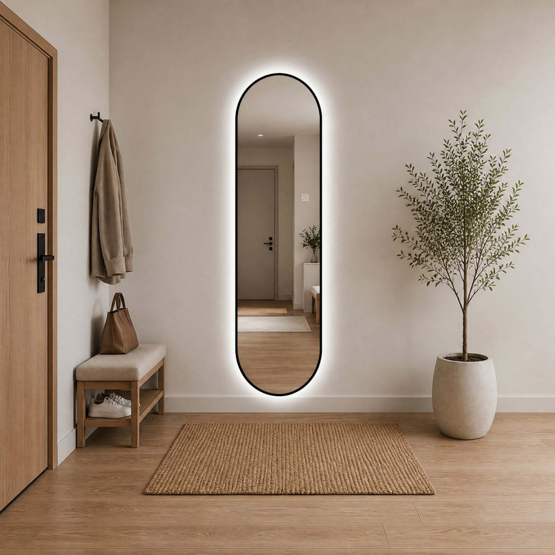 Miroir pleine longueur mural en forme de capsule de 65 po × 18 po, cadre noir et éclairage DEL à intensité variable