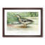 A Mallard Duck by J.L. Ridgway - Single Picture Frame Painting-55453494-55453491