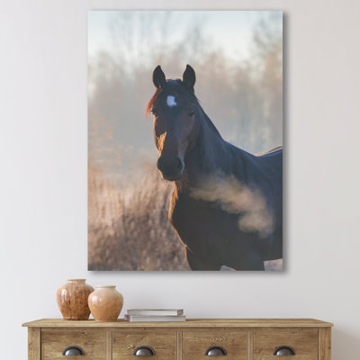 " Portrait Of A Horse On An Autumn Morning "