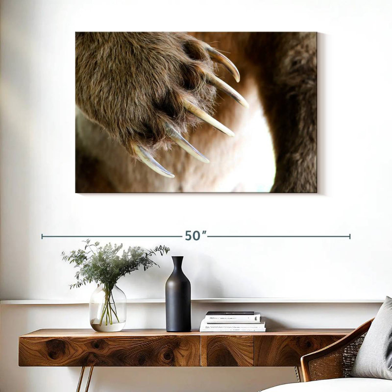 Griffes d'ours, H 26 po x l 39 po