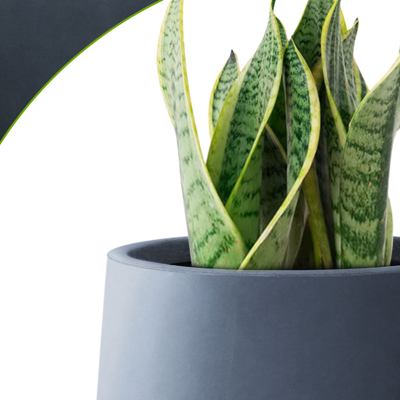 Pot Planter, Charcoal