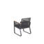 Wanamie Patio Dining Armchair with Cushion