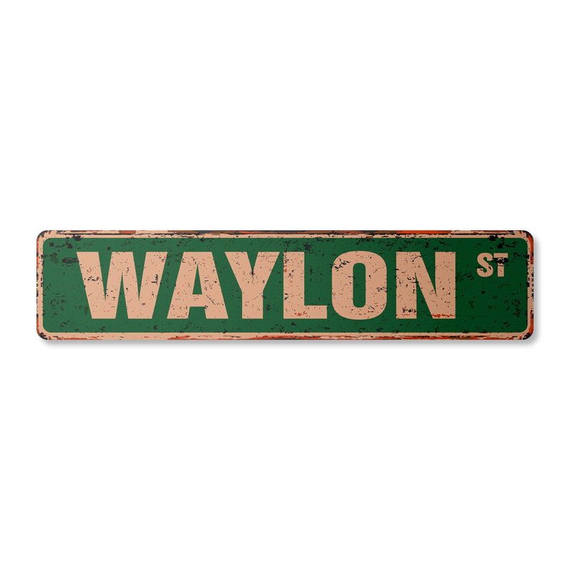 Plaque de rue Waylon aluminium 4 po x 18 po
