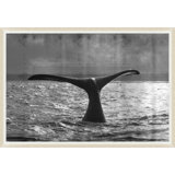 Whale Metallic Print