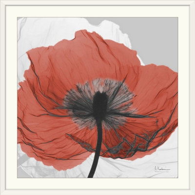 « red pilé x-ray », impression