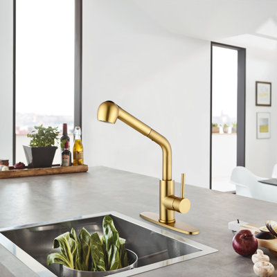 Interbath Pull Out Kitchen Faucet