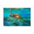 Wrapped Canvas is unavailable