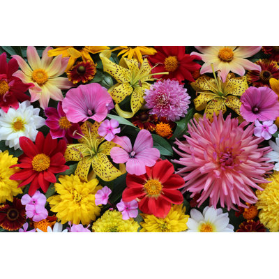 Background Of Cultivated Flowers by MaskaRad - Wrapped Canvas Print