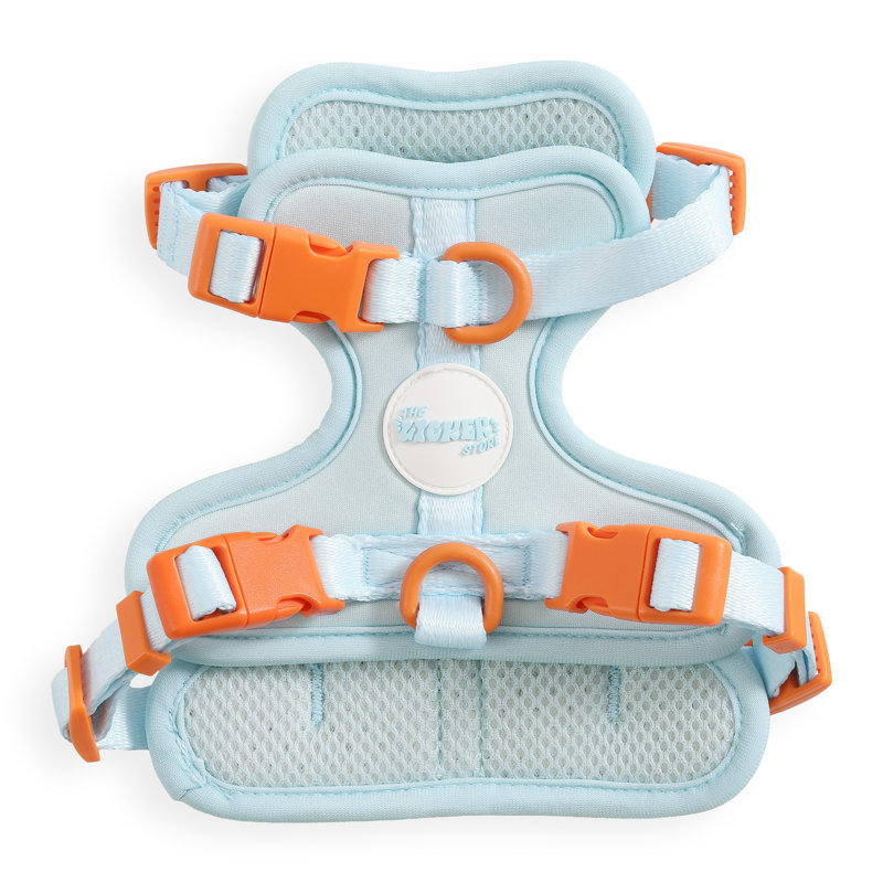 Harnais pour animal de compagnie Arlo, Extra Small, Bleu clair