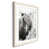 White Framed
