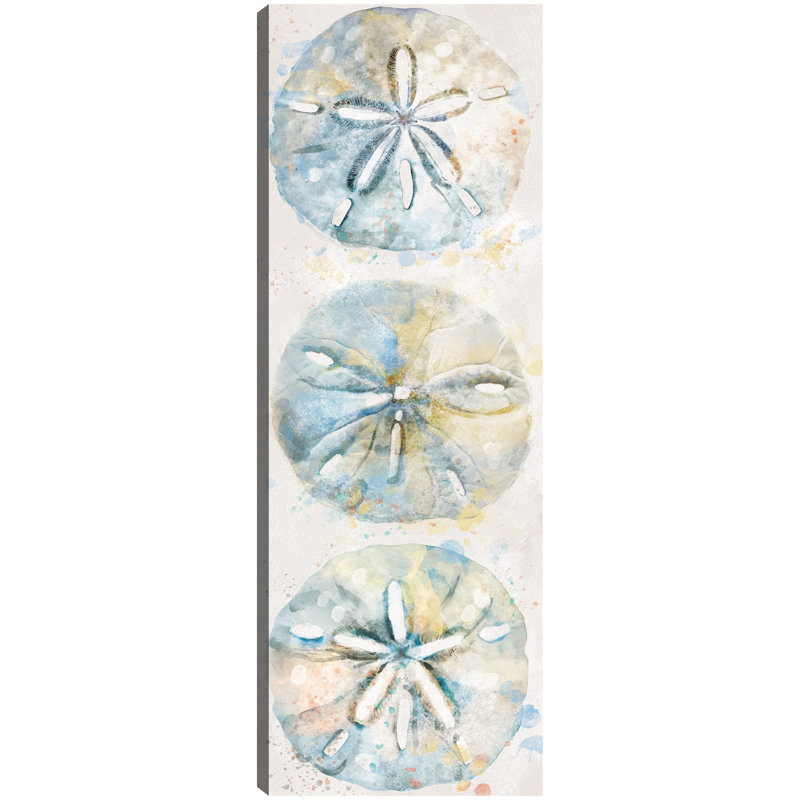 Shell Panel II By Studio Arts Canvas Art Print, Wrapped Canvas, 13" W x 35" H