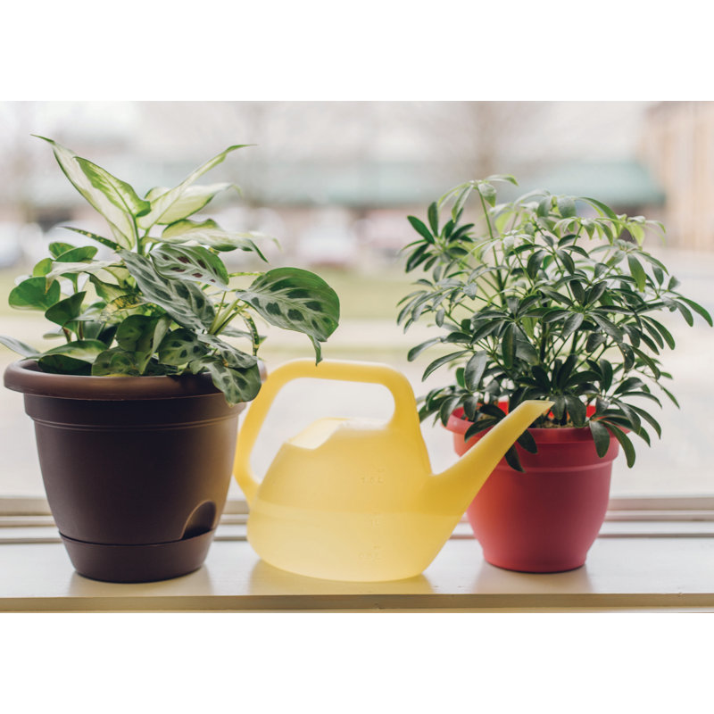 Denzel Weather Resistant Watering Can