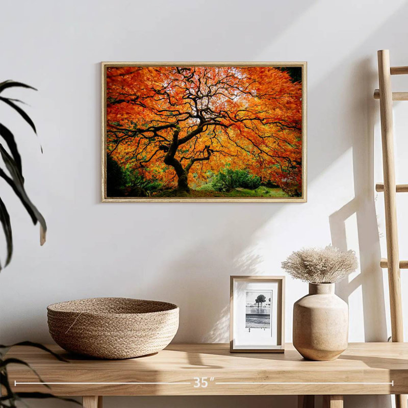Automne érable japonais, 19 po x 13 po, Cadre flottant en bois naturel