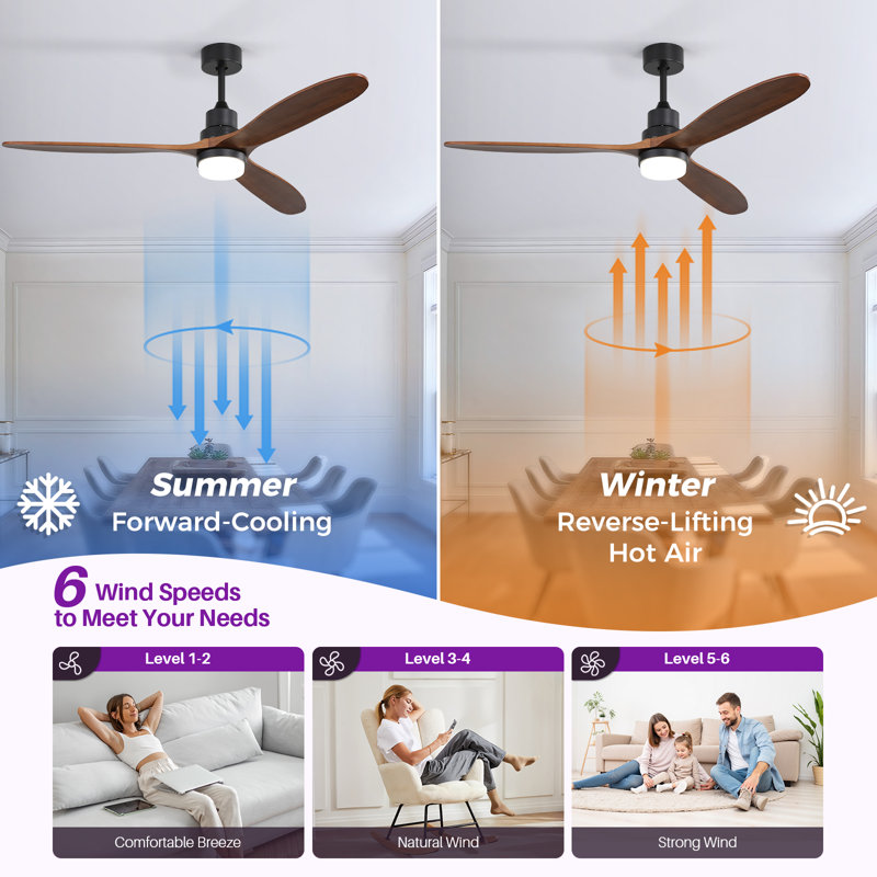 Nicola 60" 3-Blade Black Ceiling Fan With Led Light and Remote Control