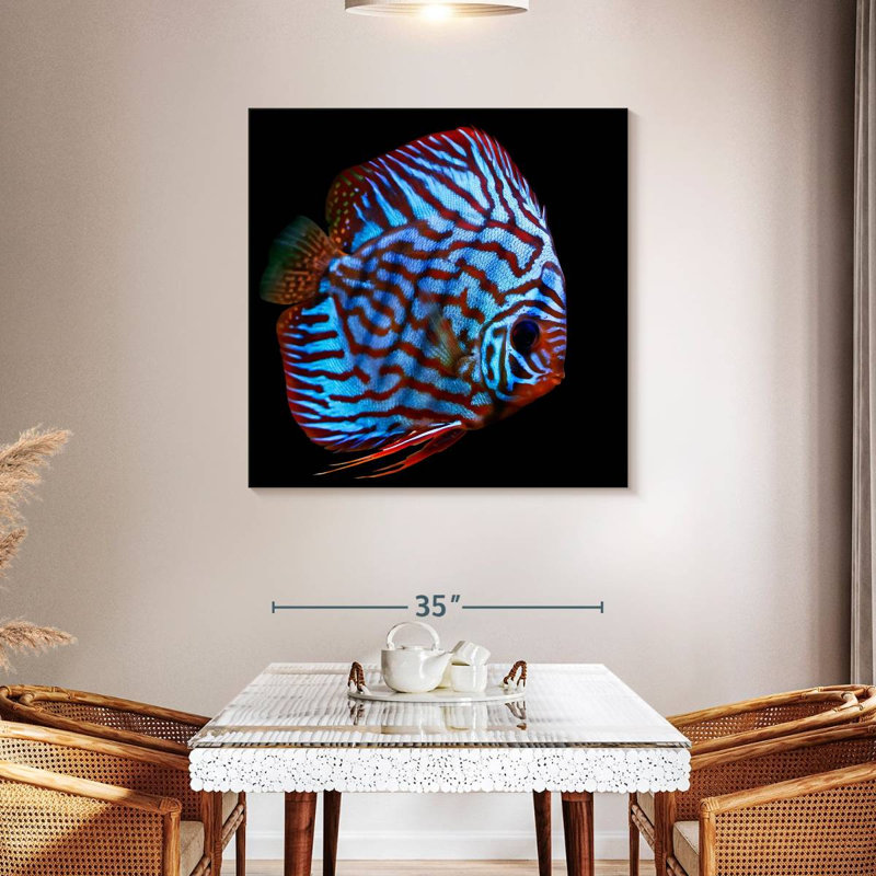 Brampt Aquatic Turquoise Discus Fish, 39'' H x 39'' W