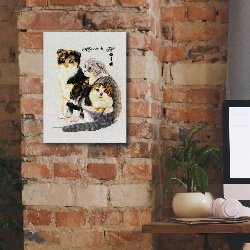 «Scottish Fold» par Barbara Keith sur, H 16 po x l 12 po x P 0,75 po