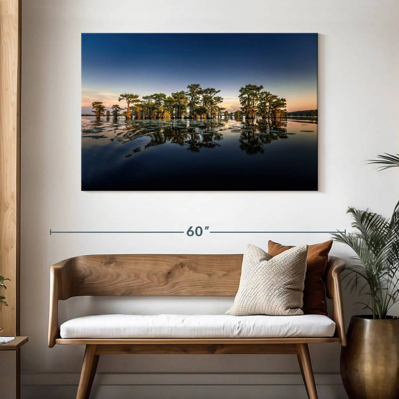Parc d'État Alvord Caddo Lake, H 32 po x l 48 po