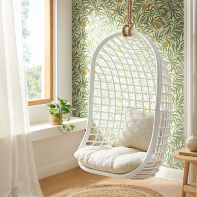 1 Person Chair Hammock with Cushions