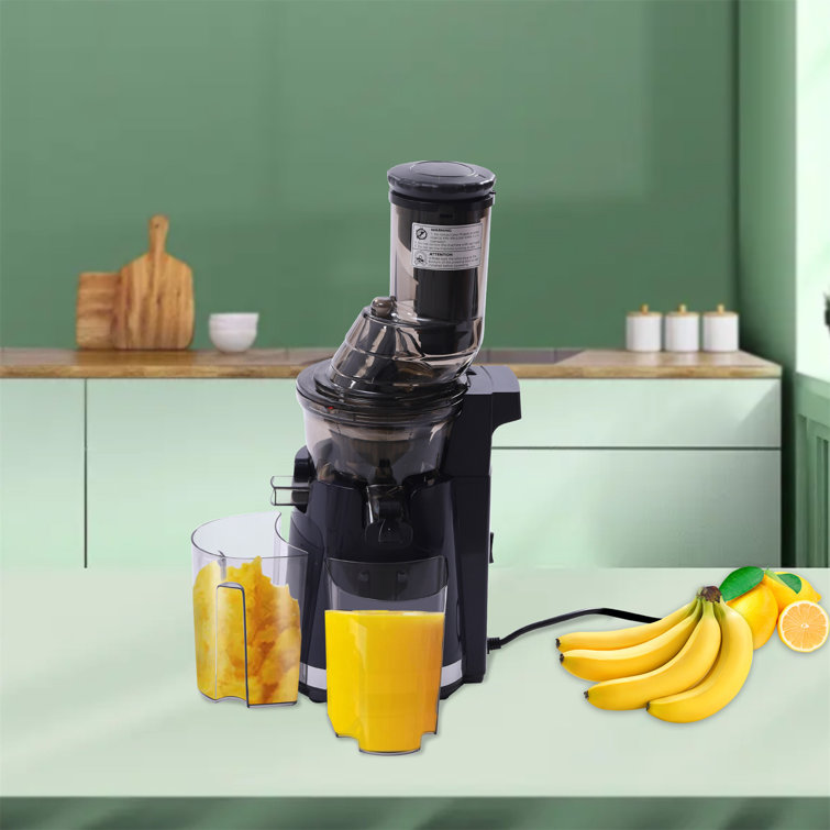 C&g Outdoors Electric Slow Masticating & Cold Press Juicer