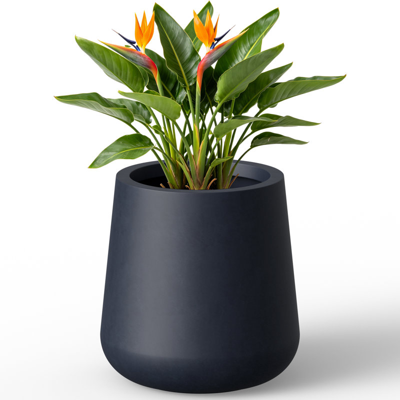 17.5" H x 14.5" W  Curved Concrete Planter for Indoor and Outdoor Plants with Drainage, Charcoal Gray, Charcoal Gray