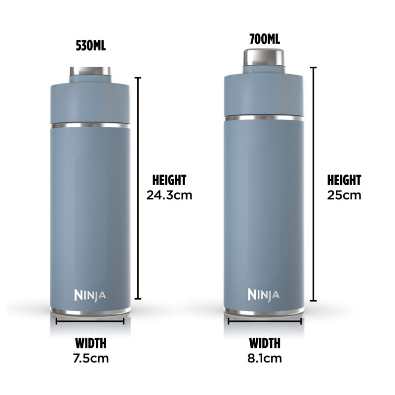 Ninja Thirsti 700 Ml Travel Bottle, Blue