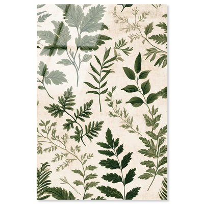 Décoration murale en acrylique Olive Sprigs III par Art Remedy, prête à être suspendue, 30 x 45