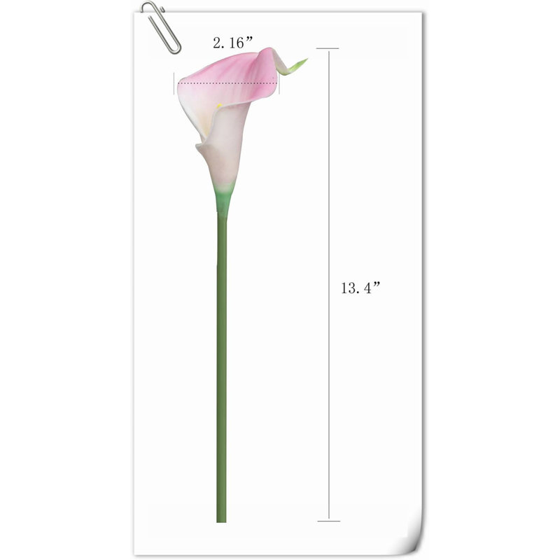 20 pièces de fleurs de lys Calla, Blanc rosé
