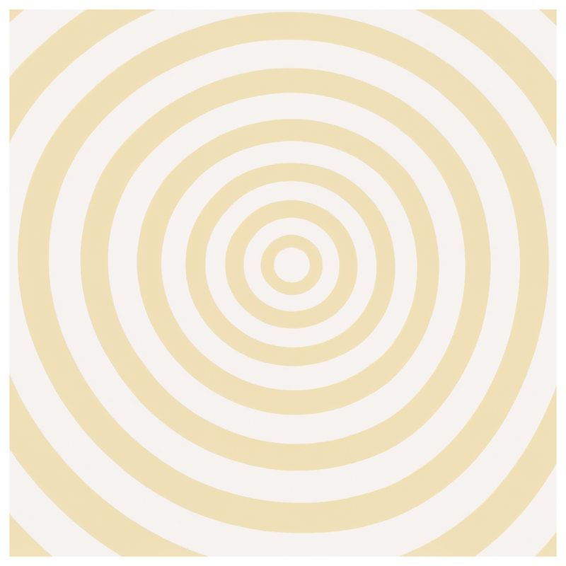 Coussins Concentric, 16 x 16 pouces