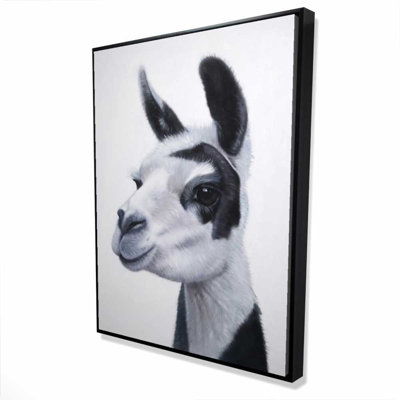 Black & White Lama - Framed Canvas Farm Animal Decor