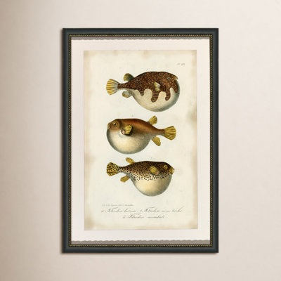 Puffer Fish Print