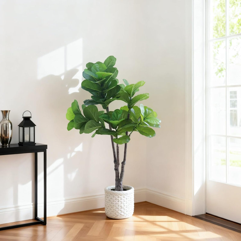 59.84cm Plant